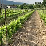 Les At Domaine Les Caizergues * Brissac