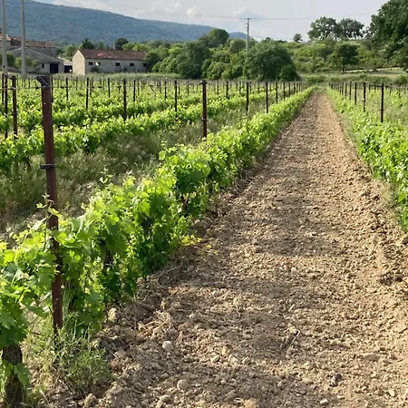 Les At Domaine Les Caizergues * Brissac