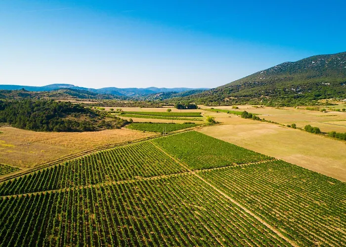 Les At Domaine Les Caizergues *