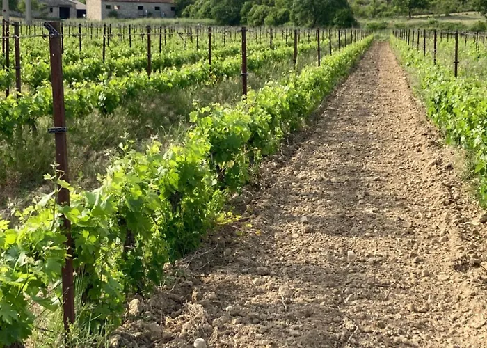 Les At Domaine Les Caizergues * Brissac